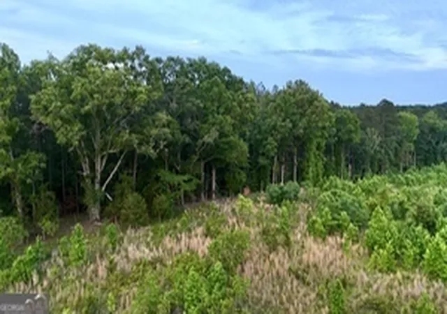 Photo 4 of Sale Pending at 0 Camak School Rd, Norwood, GA 30821 | MLS# 10721767 | Listing updated on 2026-07-27