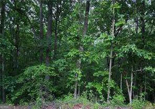 1st image of 0 Old Mckaskey Creek Rd Se, Cartersville, GA 30121 | MLS# 10808703