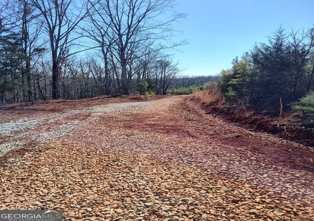 Photo 3 of Land for sale at 1798 Pearl Ml Rd, Elberton, GA 30635 | MLS# 10683818 | Listing updated on 2026-02-24