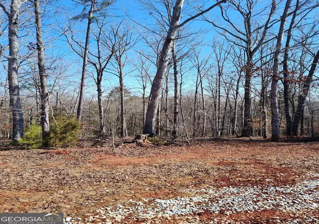 Photo 3 of Land for sale at 1798 Pearl Ml Rd, Elberton, GA 30635 | MLS# 10683818 | Listing updated on 2026-02-24