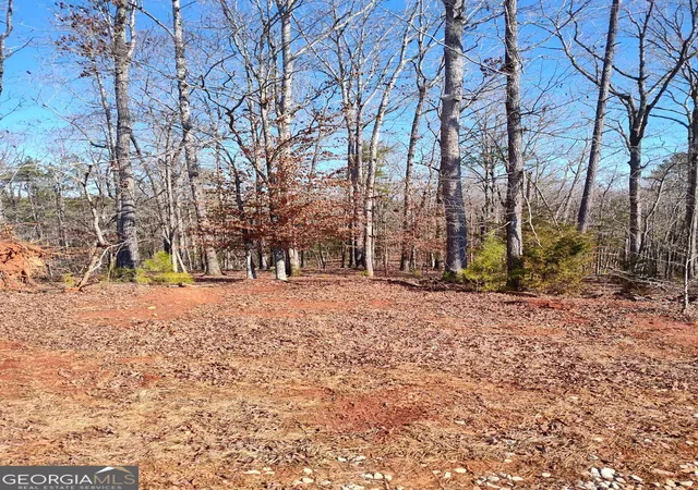 Photo 4 of Land for sale at 1798 Pearl Ml Rd, Elberton, GA 30635 | MLS# 10683818 | Listing updated on 2026-02-24