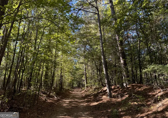3rd image of 30 Ac W Ellis, Griffin, GA 30223 | MLS# 10722579