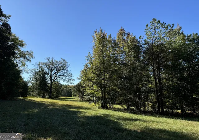 4th image of 30 Ac W Ellis, Griffin, GA 30223 | MLS# 10722579