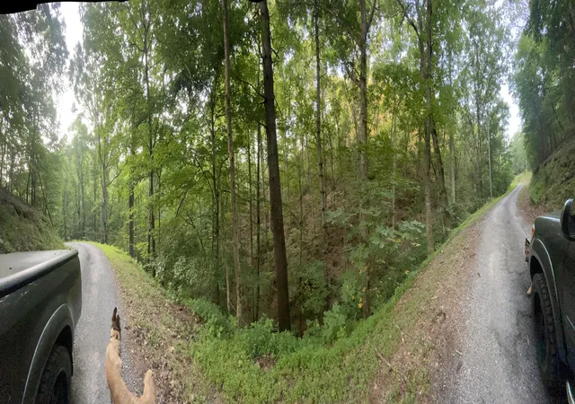 Photo 2 of Sale Pending at 725 Anderson Ln, Ranger, GA 30734 | MLS# 10182353 | Listing updated on 2026-01-29