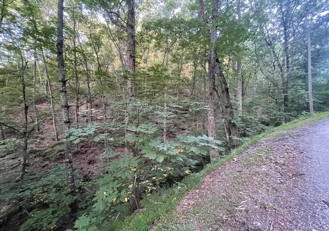 Photo 3 of Sale Pending at 725 Anderson Ln, Ranger, GA 30734 | MLS# 10182353 | Listing updated on 2026-01-29