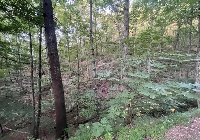 Photo 3 of Sale Pending at 725 Anderson Ln, Ranger, GA 30734 | MLS# 10182353 | Listing updated on 2026-01-29