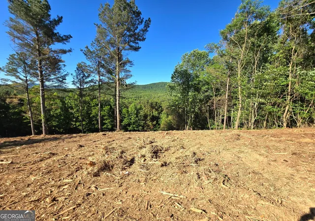 23rd image of Lot 20 Sunset View, Blairsville, GA 30512 | MLS# 10796288