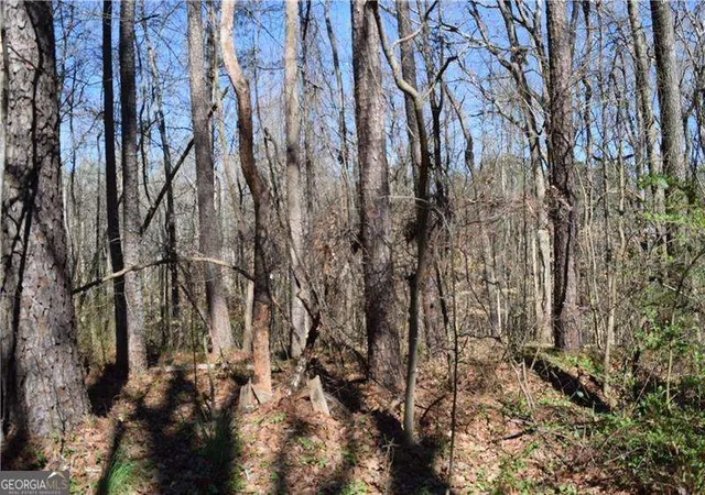 Photo 3 of Land for sale at 5320 Beth Dr, Austell, GA 30106 | MLS# 10695721 | Listing updated on 2026-03-13