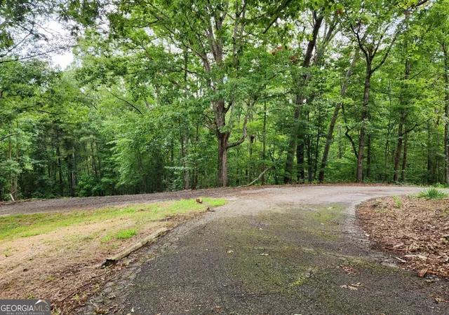 4th image of 1397 Mcpherson Church Rd, Dallas, GA 30132 | MLS# 10586323