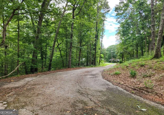5th image of 1397 Mcpherson Church Rd, Dallas, GA 30132 | MLS# 10586323
