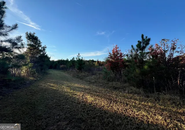 4th image of 0 Plantation Rd, Mcdonough, GA 30252 | MLS# 10713349