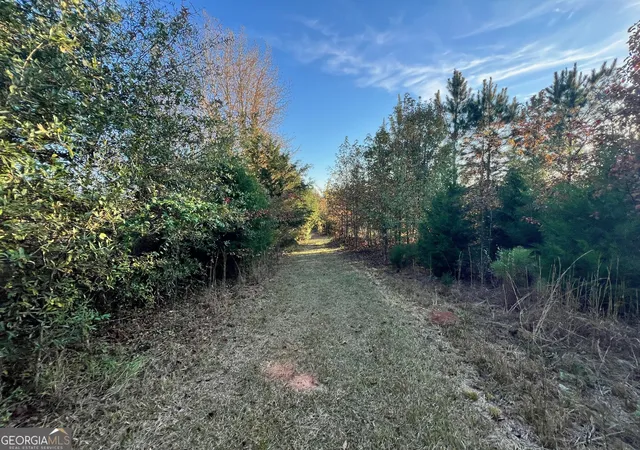 5th image of 0 Plantation Rd, Mcdonough, GA 30252 | MLS# 10713349