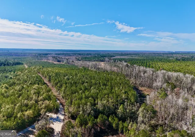 Photo 2 of Land for sale at Tract 1 Tillman Cemetery Rd, Lumber City, GA 31549 | MLS# 10825620 | Listing updated on 2026-09-01