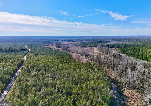 Photo 3 of House for sale at Tract 1 Tillman Cemetery Rd, Lumber City, GA 31549 | MLS# 10825620 | Listing updated on 2026-09-01