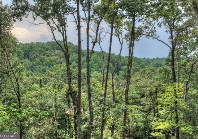 4th image of 394 Blackberry Cir, Ellijay, GA 30536 | MLS# 10828230
