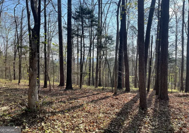 1st image of Tract 1b Chalcrest Wy, Cave Spring, GA 30124 | MLS# 10818271