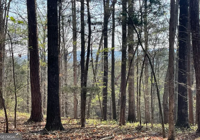 2nd image of Tract 1b Chalcrest Wy, Cave Spring, GA 30124 | MLS# 10818271