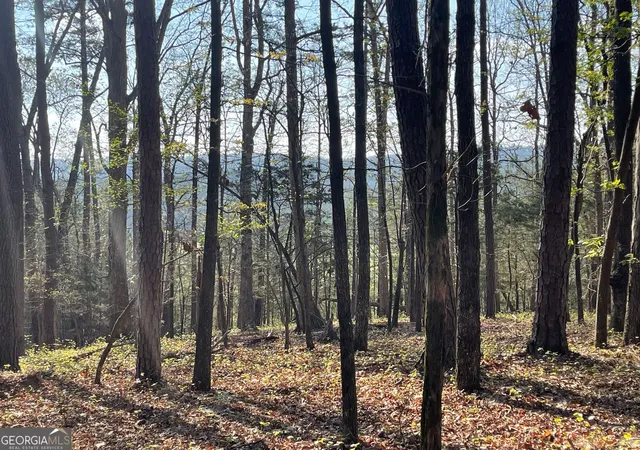 3rd image of Tract 1B Chalcrest Wy, Cave Spring, GA 30124 | MLS# 10818271