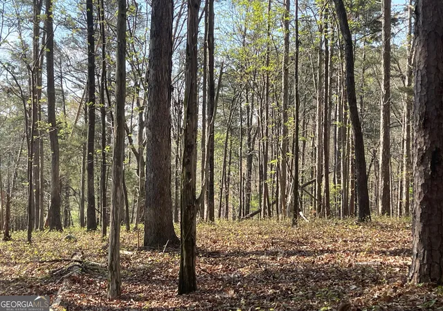 4th image of Tract 1B Chalcrest Wy, Cave Spring, GA 30124 | MLS# 10818271