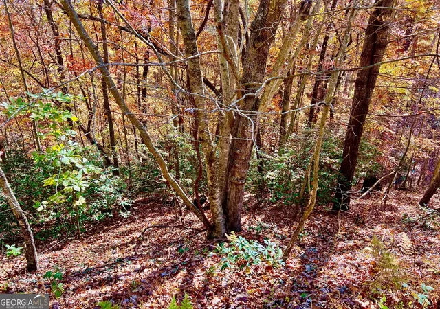 Homes for sale in Blairsville, GA | 13 Up The Ridge Rd, Blairsville, GA 30512 | MLS# 10410706