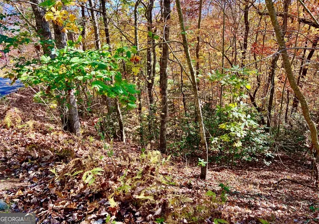 Homes for sale in Blairsville, GA | 13 Up The Ridge Rd, Blairsville, GA 30512 | MLS# 10410706