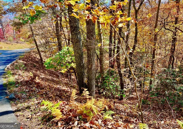 Homes for sale in Blairsville, GA | 13 Up The Ridge Rd, Blairsville, GA 30512 | MLS# 10410706