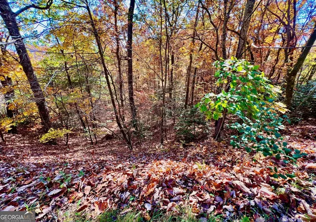 Homes for sale in Blairsville, GA | 13 Up The Ridge Rd, Blairsville, GA 30512 | MLS# 10410706