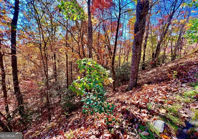 Homes for sale in Blairsville, GA | 13 Up The Ridge Rd, Blairsville, GA 30512 | MLS# 10410706