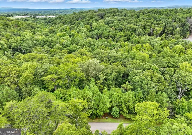 Photo 3 of Land for sale at Lot268 Vistaview Pkwy, Jasper, GA 30143 | MLS# 10584455 | Listing updated on 2026-08-07