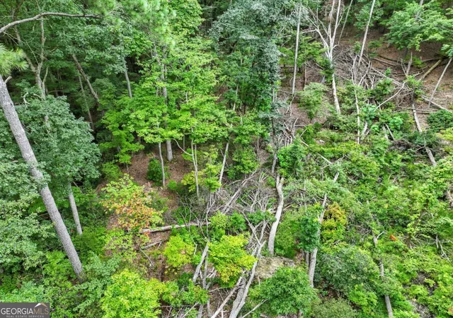 Photo 3 of Land for sale at Lot268 Vistaview Pkwy, Jasper, GA 30143 | MLS# 10584455 | Listing updated on 2026-08-07