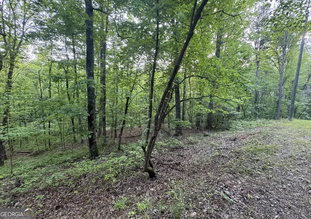 2nd image of 1 Holley Hts, Jasper, GA 30143 | MLS# 10741415