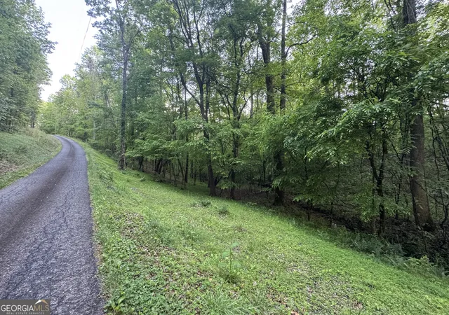 3rd image of 1 Holley Hts, Jasper, GA 30143 | MLS# 10741415