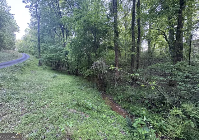 4th image of 1 Holley Hts, Jasper, GA 30143 | MLS# 10741415