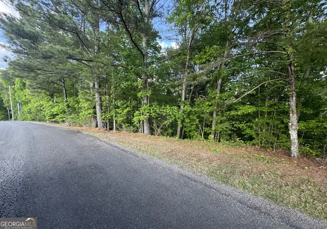 5th image of 1 Holley Hts, Jasper, GA 30143 | MLS# 10741415