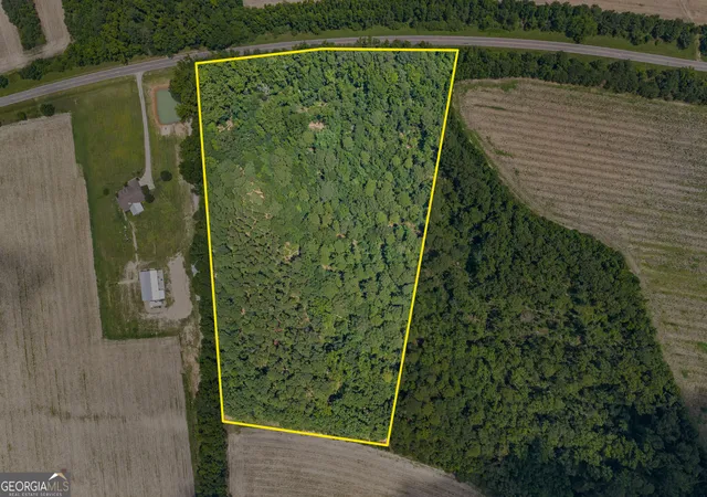 Land for sale at 17384 Old River Rd, Garfield, GA 30425 | MLS# 10836367