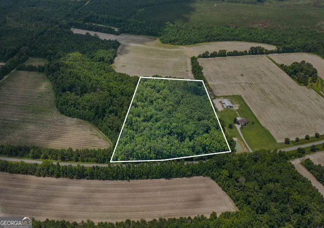 Photo 3 of Land for sale at 17384 Old River Rd, Garfield, GA 30425 | MLS# 10836367 | Listing updated on 2026-09-14