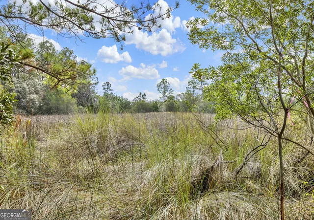 Photo 1 of Land for sale at 199 Burton Rd, Savannah, GA 31405 | MLS# 10613707 | Listing updated on 2026-04-20
