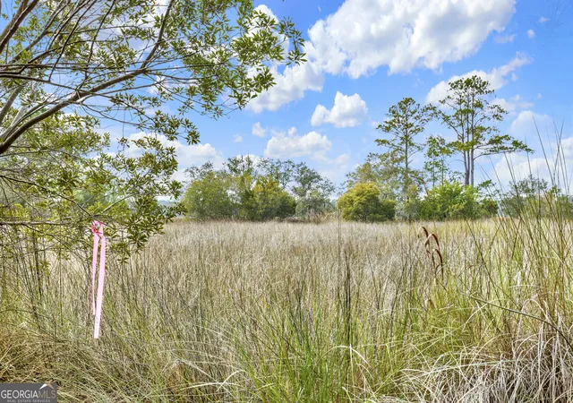 Photo 3 of Land for sale at 199 Burton Rd, Savannah, GA 31405 | MLS# 10613707 | Listing updated on 2026-04-20