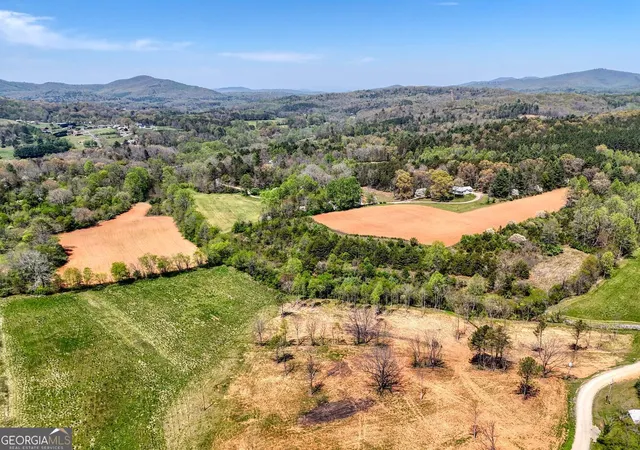 19th image of Ii Shuler Rd, Blairsville, GA 30512 | MLS# 10664380