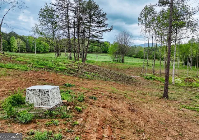 2nd image of Ii Shuler Rd, Blairsville, GA 30512 | MLS# 10664380