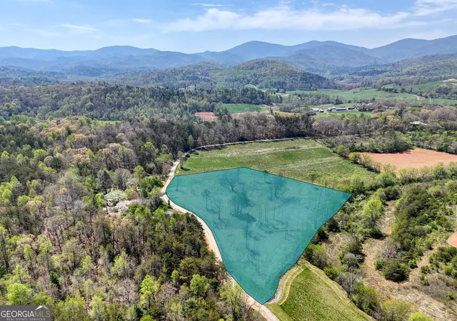 3rd image of Ii Shuler Rd, Blairsville, GA 30512 | MLS# 10664380