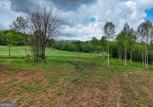 4th image of Ii Shuler Rd, Blairsville, GA 30512 | MLS# 10664380