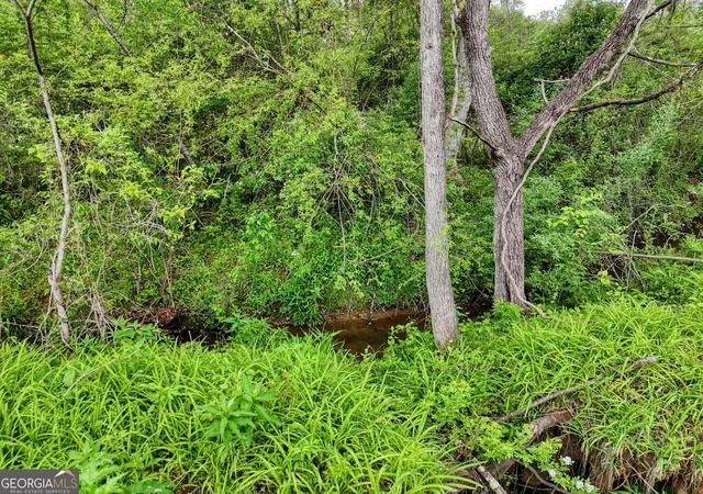 5th image of Ii Shuler Rd, Blairsville, GA 30512 | MLS# 10664380