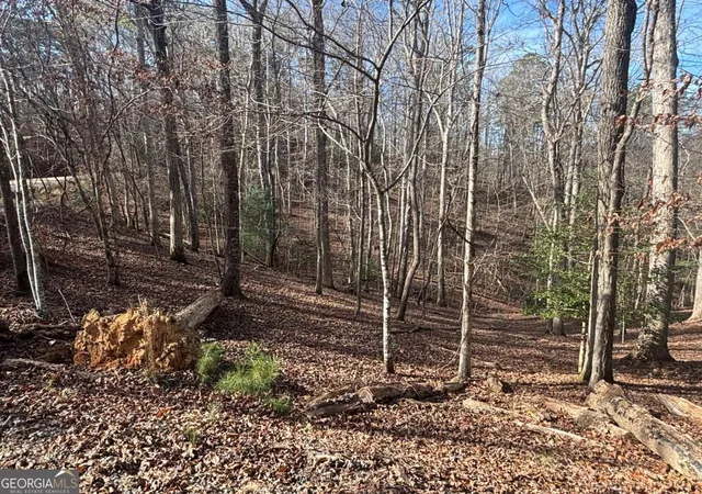 Photo 2 of Sale Pending at Lt 727 Armor Ct, Ellijay, GA 30540 | MLS# 10652428 | Listing updated on 2026-03-02