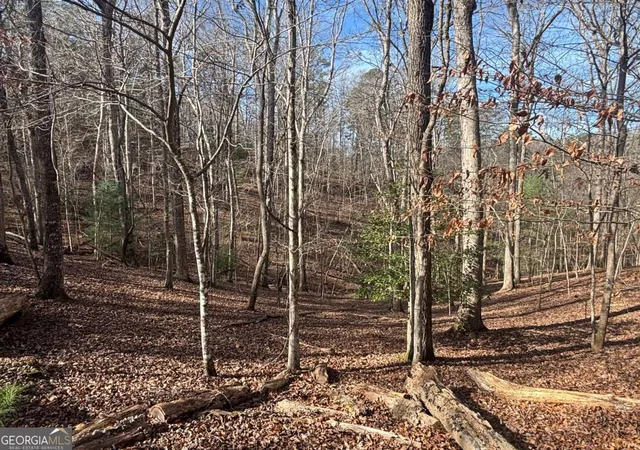 Photo 3 of Sale Pending at Lt 727 Armor Ct, Ellijay, GA 30540 | MLS# 10652428 | Listing updated on 2026-03-02