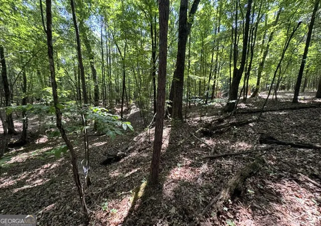 Photo 3 of Land for sale at 2010 Clearwater Dr, White Plains, GA 30678 | MLS# 10767484 | Listing updated on 2026-08-02