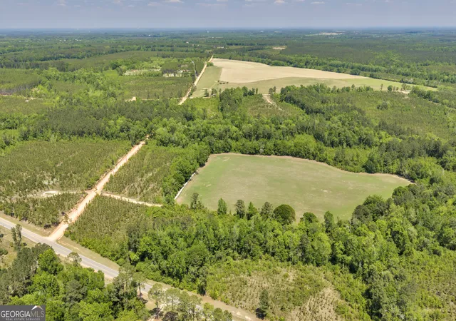 2nd image of 32 Hwy 126, Alamo, GA 30411 | MLS# 10785806
