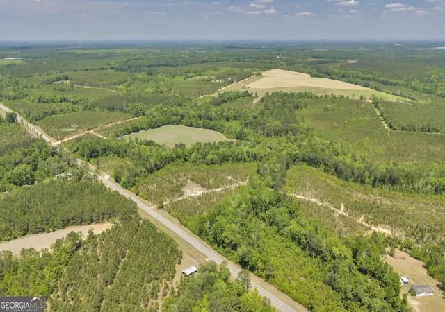 4th image of 32 Hwy 126, Alamo, GA 30411 | MLS# 10785806