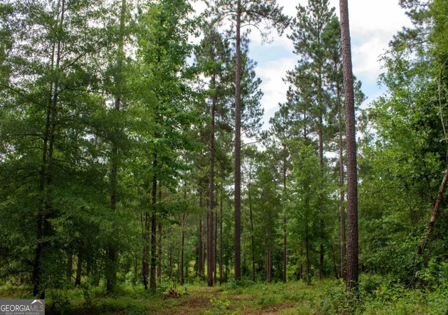 Land for sale at 139 Overlook Dr, Eatonton, GA 31024 | MLS# 10474200 | Listing updated on 2025-03-21