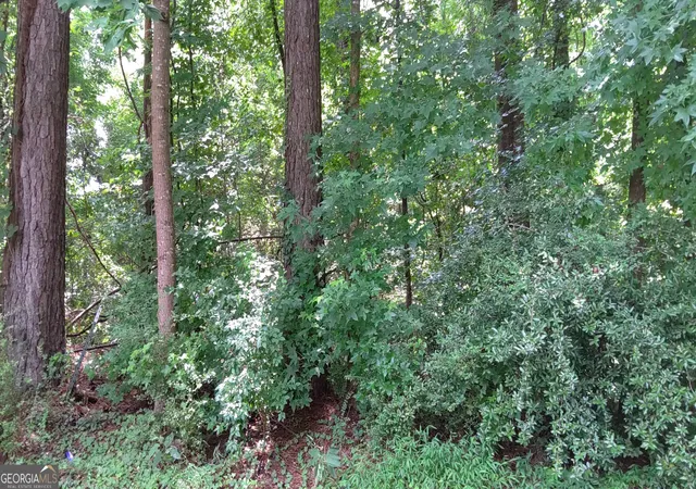 Photo 2 of Land for sale at 0 Cherie Ct, Atlanta, GA 30349 | MLS# 10813711 | Listing updated on 2026-08-10